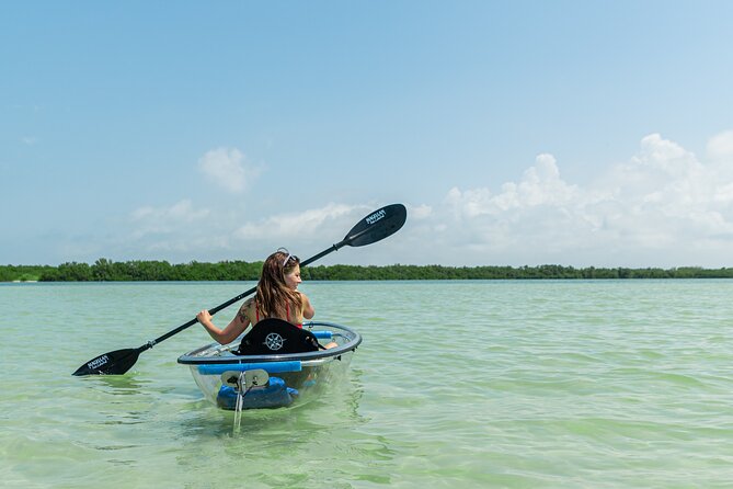 Clear Kayak Tour of Shell Key Preserve and Tampa Bay Area - What to Expect: Practical Details