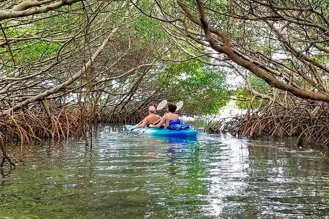 Kayak Adventure of Shell Key Preserve & Island with a Local - The Itinerary in Detail