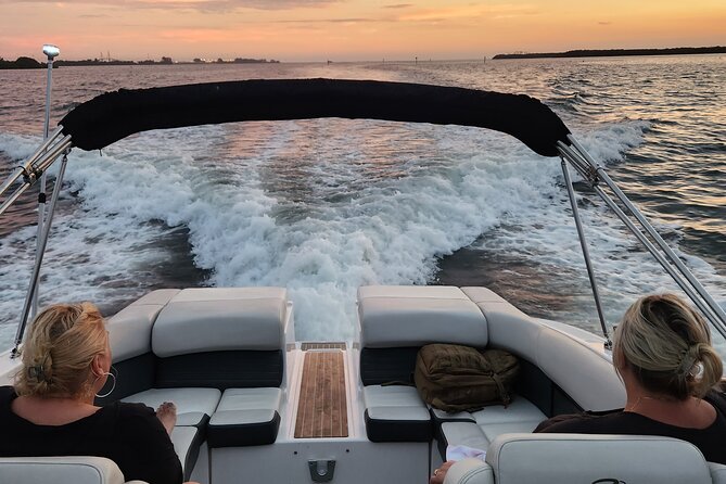 Private Boat: Island Cruise and Dolphins - An In-Depth Look at the Tampa Bay Private Boat Tour