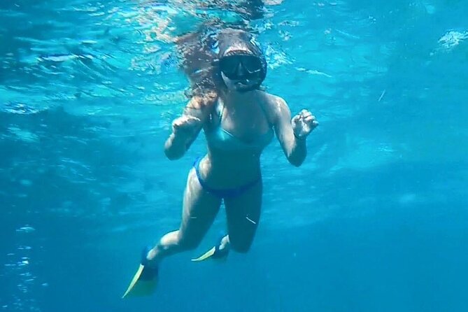 4 Hour Egmont Key Island Tour With Dolphins & Snorkeling Included - Good To Know