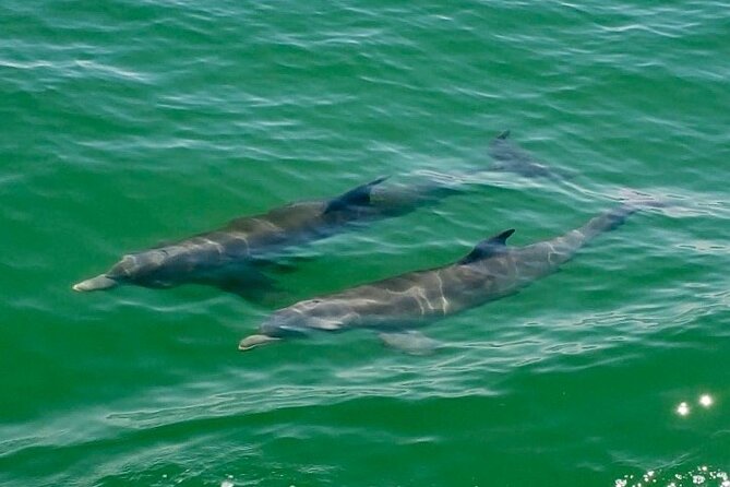 4 Hour Egmont Key Island Tour With Dolphins & Snorkeling Included - The Crew and Guides