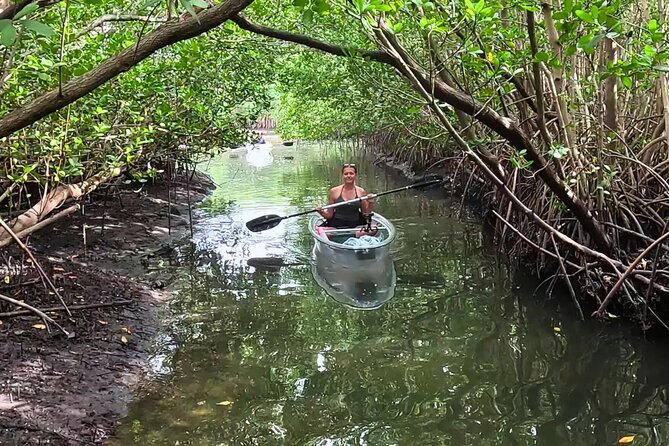 2-Hour Clear Kayak Mangrove Eco Tours, St Pete - The Practicalities