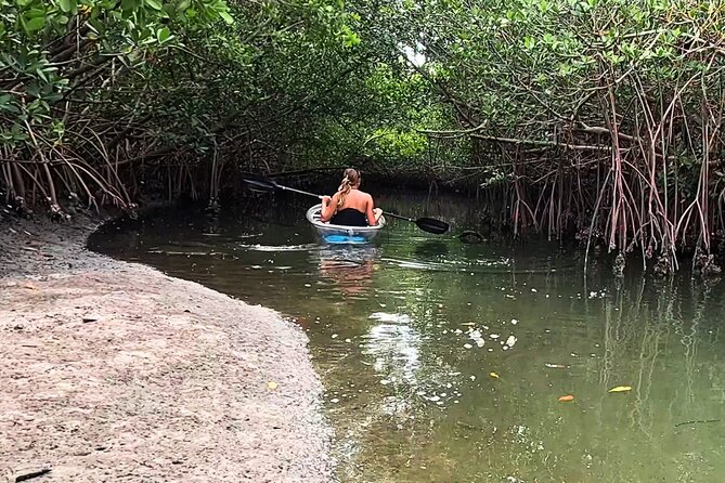 2-Hour Clear Kayak Mangrove Eco Tours, St Pete - The Sum Up: Is This Kayak Tour Right for You?