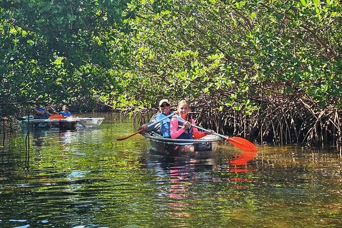 2-Hour Clear Kayak Mangrove Eco Tours, St Pete - Explore the Calm Waters of Clam Bayou with a Clear Kayak Eco Tour in St. Petersburg
