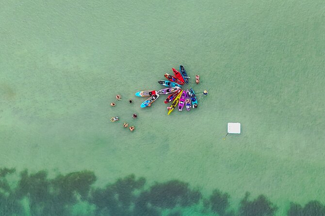 John's Pass Sandbar Party Kayak Adventure - Practical Tips for Participants
