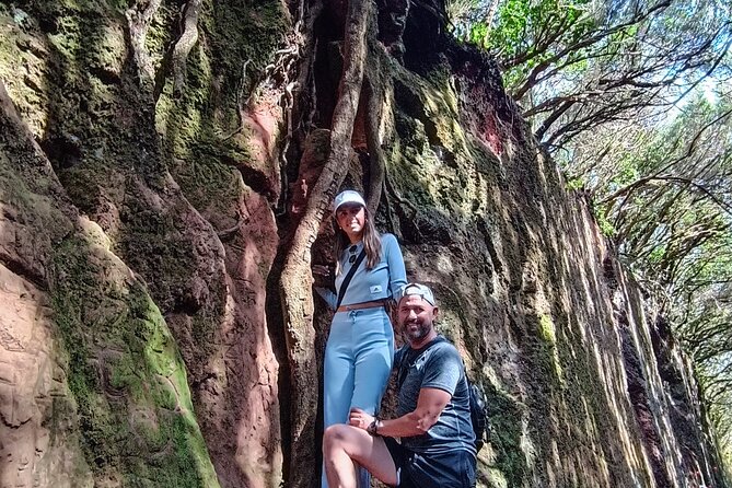 Tenerife: Hiking Tour in Anaga Mountains & Enchanted Forest - Key Points