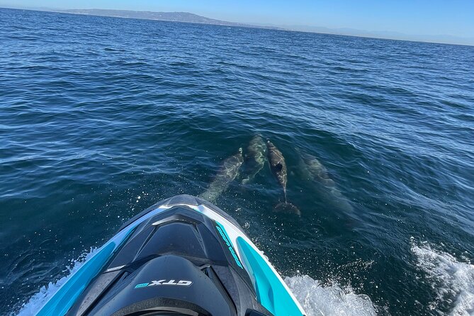 Jetski Adventure: Guided Trip from Long Beach to Catalina Island - Practicalities and Tips