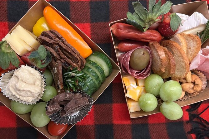 Northern Lights Viewing in a Semi-Private Dome in Whitehorse - Who Will Love This Tour?