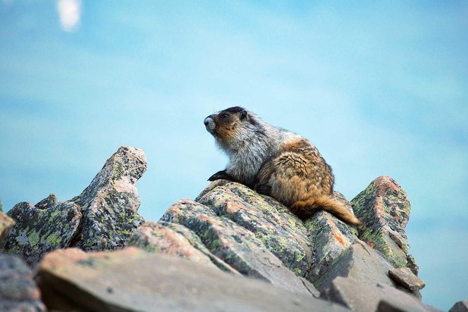 Jasper SkyTram - FAQs about Jasper SkyTram