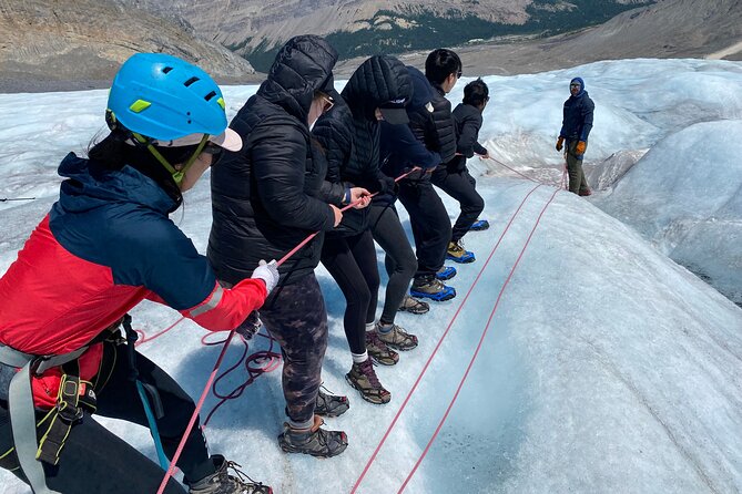 Tread Lightly Glacier Hikes - Who Is This Tour Best For?