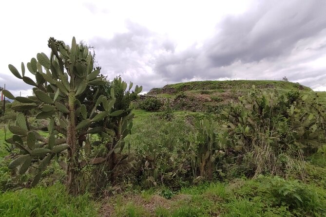 Private kayaks tour in Xochimilco & Cuicuilco pyramid - Practical Details & What to Expect