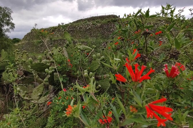 Private kayaks tour in Xochimilco & Cuicuilco pyramid - Why Youll Love This Experience