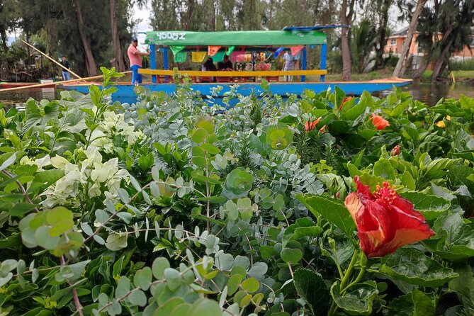 Private kayaks tour in Xochimilco & Cuicuilco pyramid - FAQ