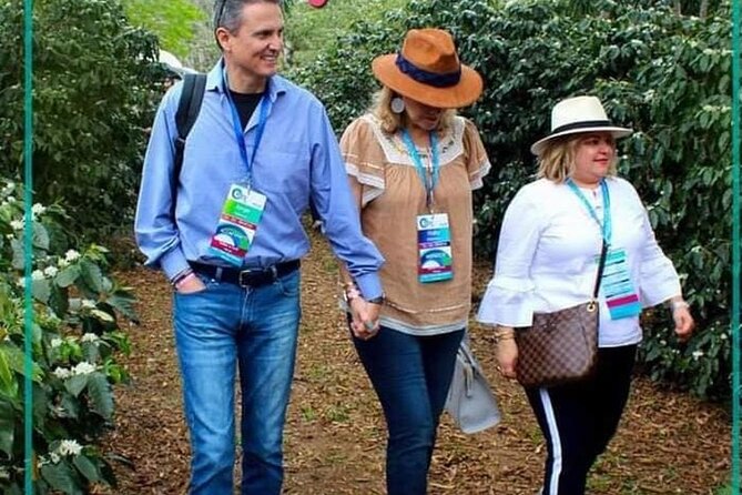 Visit to Coffee Farm with Tasting in Coatepec - The Experience: What’s on the Itinerary?