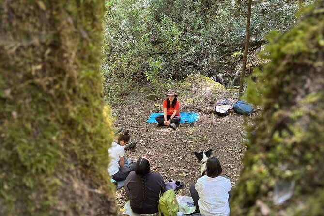 Immerse in the Nature: Deep Connection through Forest Bathing - Good To Know