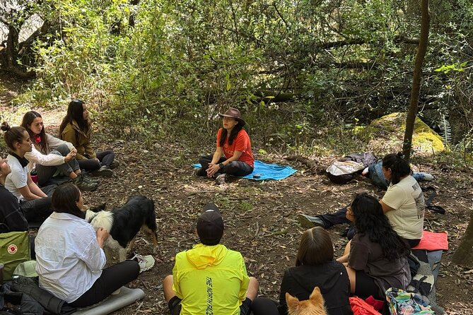 Immerse in the Nature: Deep Connection through Forest Bathing - Who Should Consider This Experience?