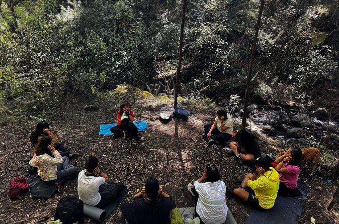 Immerse in the Nature: Deep Connection through Forest Bathing - Final Thoughts