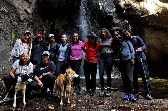 Immerse in the Nature: Deep Connection through Forest Bathing - FAQ