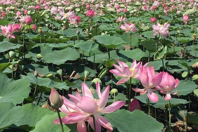 Chiso temple, Neang khmao, and Taprum temple historical site Tour - Who Should Consider This Tour?