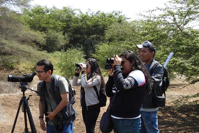 Nature tour, Pómac Forest with picnic breakfast included. - Introduction: What to Expect from the Experience