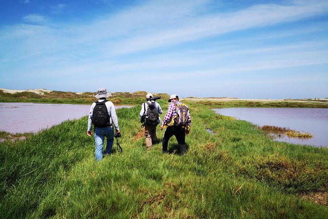 Nature tour, Pómac Forest with picnic breakfast included. - The Experience: What Travelers Say