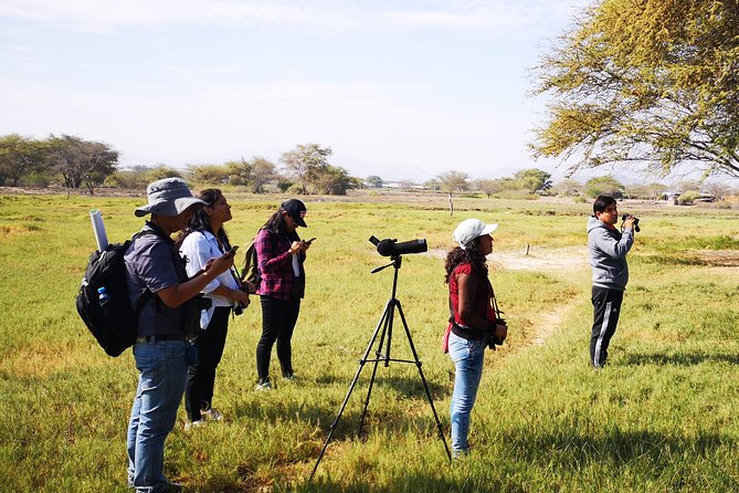 Nature tour, Pómac Forest with picnic breakfast included. - Practical Details: Transportation, Pricing, and Group Size