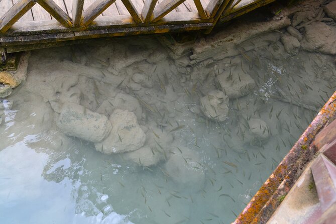 Luang Prabang Private Car Charter: Kuang Si Waterfall (5h) - Authentic Insights from Past Travelers