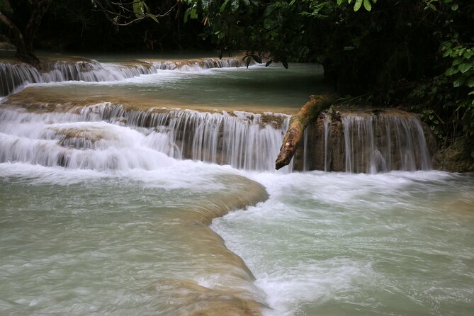 From Luang Prabang: 8-Day Laos Tour with Accommodation - Who Should Consider This Tour?