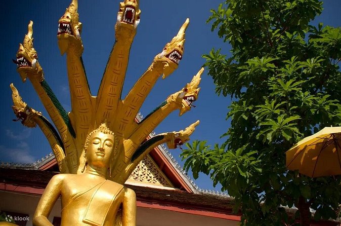 Luang Prabang Half Day City Tour - Final Thoughts: Who Will Love This Tour?