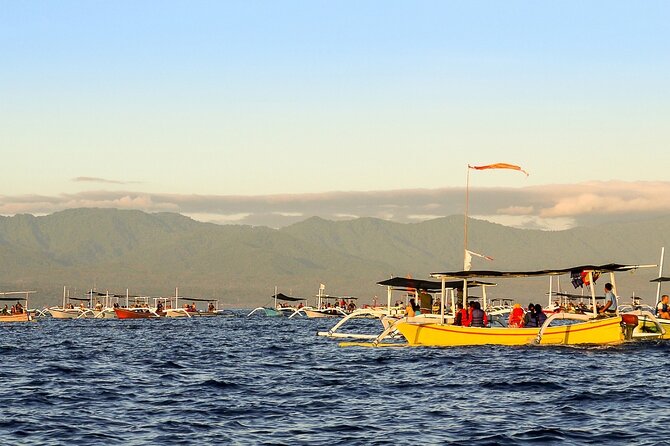 Lovina Watching Swimming with Dolphins and Snorkeling - Key Points