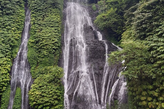 North Bali Private Tour - All Inclusive - Who Is This Tour Best For?