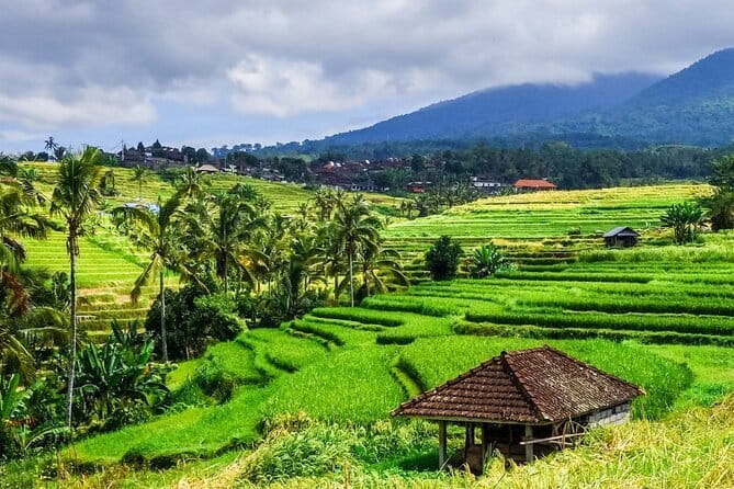 Jatiluwih's Rice Field Terraces: A Scenic Self-Guided Audio Tour - Key Points