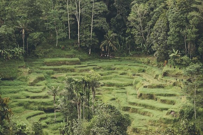 Jatiluwih UNESCO site and Ulundanu - Good To Know