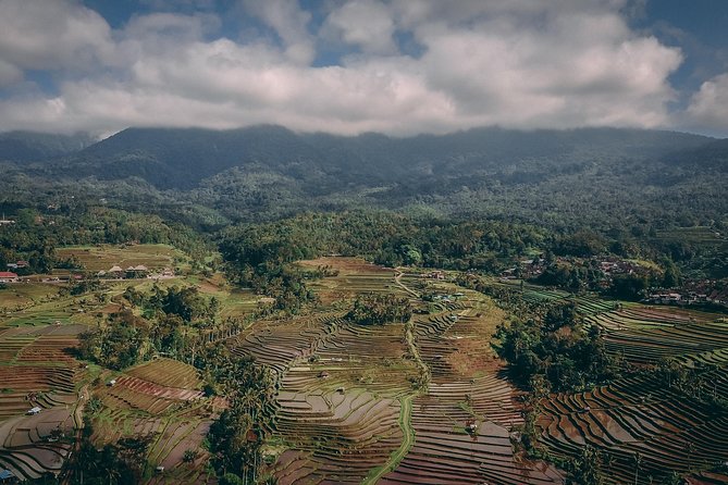 Jatiluwih UNESCO site and Ulundanu - Exploring Bali’s Cultural and Natural Wonders: A Detailed Tour Review