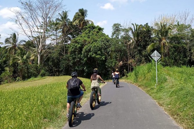Ubud Rice Terraces eBike Private Tour - What Makes This Tour Stand Out?