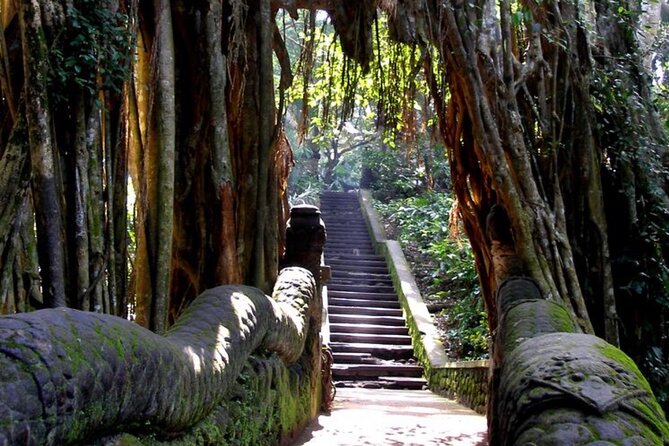 Private Ubud Tour and Quad Bike - The Itinerary in Detail