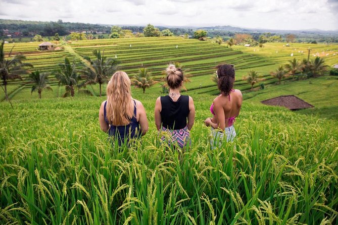 Private Bali Tour: The Most Scenic Places - The Sum Up: Why You Should Consider This Tour
