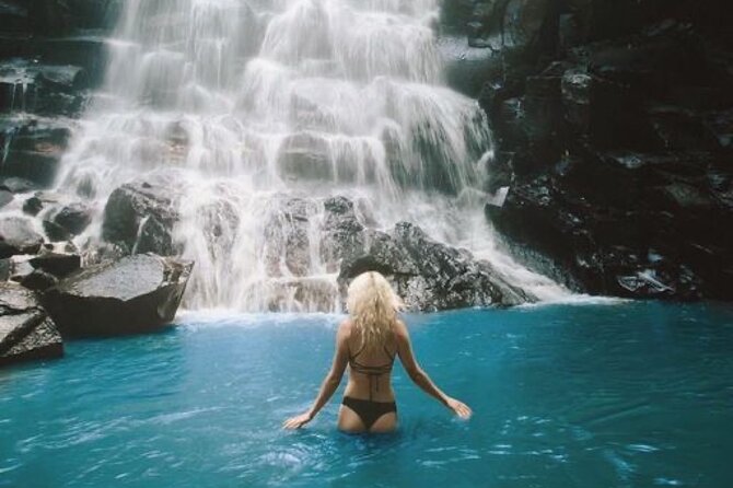 Full Day Private Tour in Ubud with Temple and Waterfalls - A Deep Dive into the Itinerary