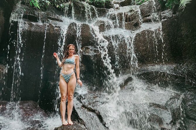 Full Day Private Tour in Ubud with Temple and Waterfalls - Who Should Consider This Tour