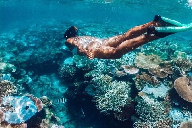 All Inclusive : Bali Blue Lagoon Snorkeling, Lunch, and Transport - Real Experiences from Travelers