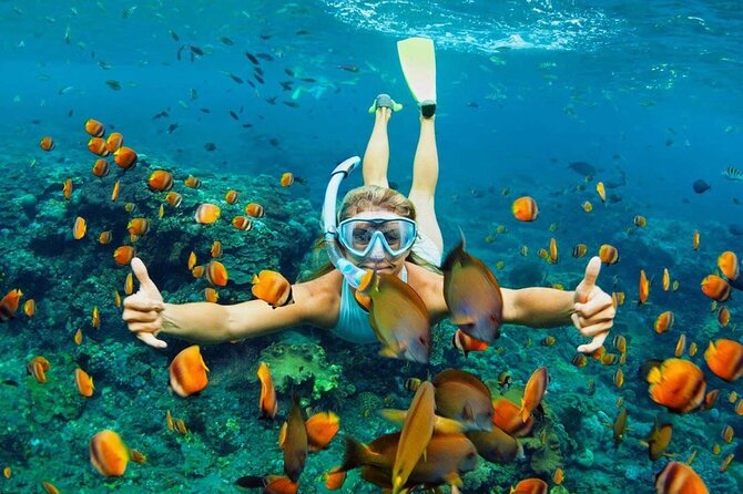 All Inclusive Bali Blue Lagoon Snorkeling Adventure - Why It’s a Great Choice