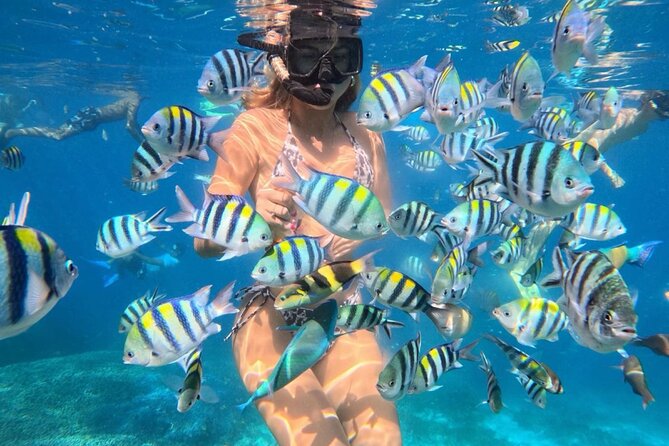 All Inclusive Bali Blue Lagoon Snorkeling Adventure - Who Will Love This Experience?