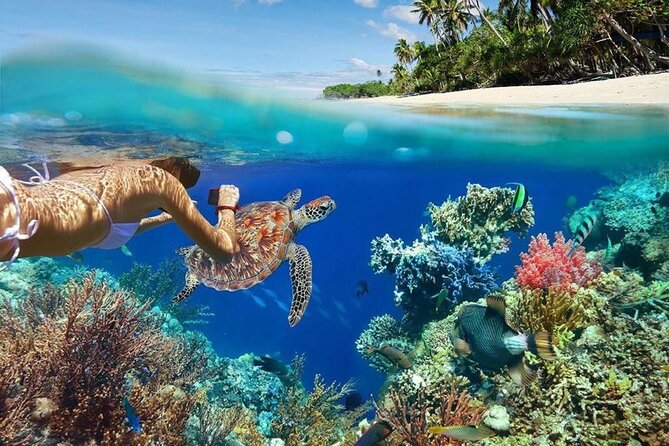 All Inclusive Bali Blue Lagoon Snorkeling Adventure - Key Points