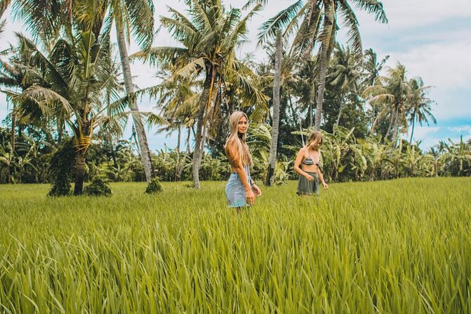 VILLAGE TOUR & RICE FIELDS TREKKING Jambangan Bali - A Close-Up of the Itinerary and What You Can Expect