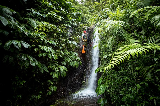 Canyoning Bali, Tamata Canyon (Adventure, discovery, nature) - The Guides and Support