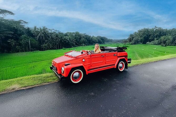 Clasi car VW Ubud Tour - Highlights of the Tour