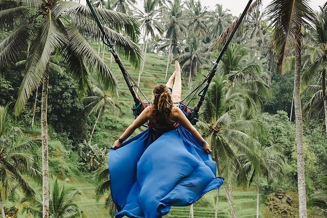 Tirta Empul temple, Jungle Swing and Waterfalls - Private Tour - Tegalalang Rice Terrace: Bali’s Green Icon