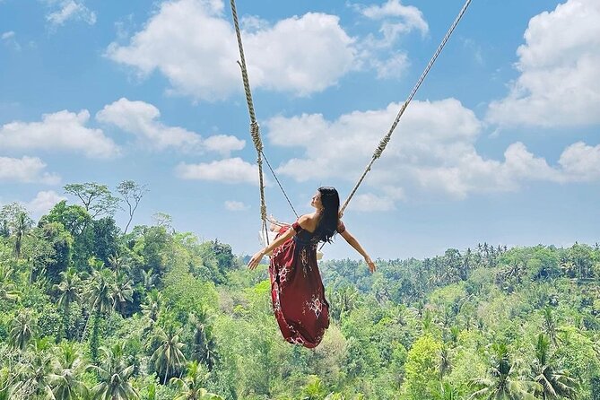 Tirta Empul temple, Jungle Swing and Waterfalls - Private Tour - Who Should Consider This Tour?
