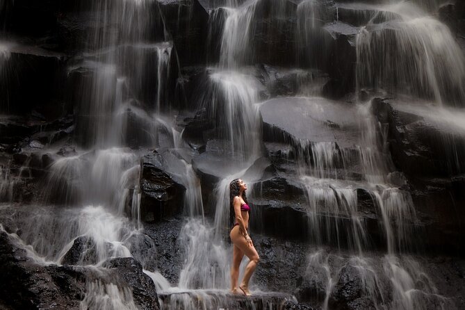 Best of Ubud Waterfalls, Tegalalang Rice Terrace & Jungle Swing - Who is this tour ideal for?  