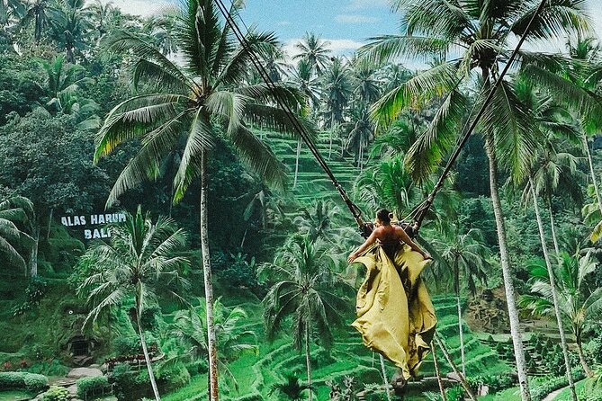 Bali Swing, Monkey Forest and Waterfall - Private Tour - What to Expect from the Tour
